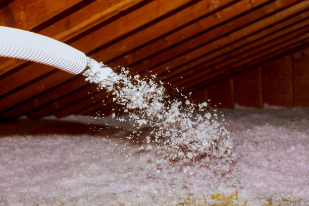 Best Blown-in Insulation in Winter Haven, FL