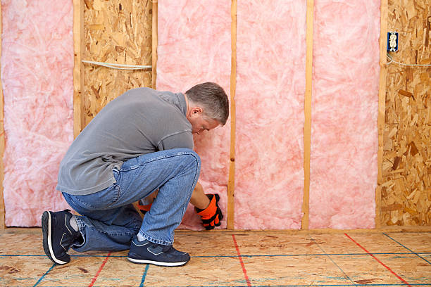 Best Specialized Insulation Services in Winter Haven, FL