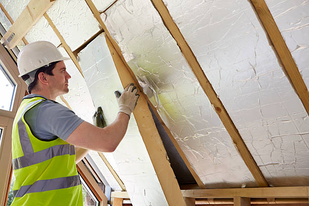Best Eco-Friendly Insulation in Winter Haven, FL