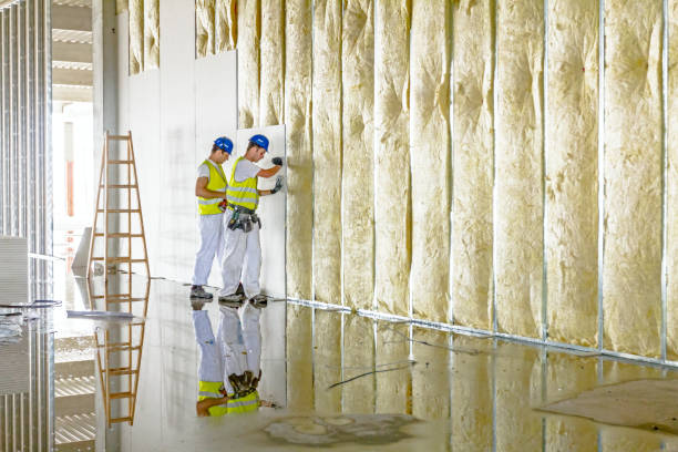Best Geographic-Specific Insulation Services in Winter Haven, FL